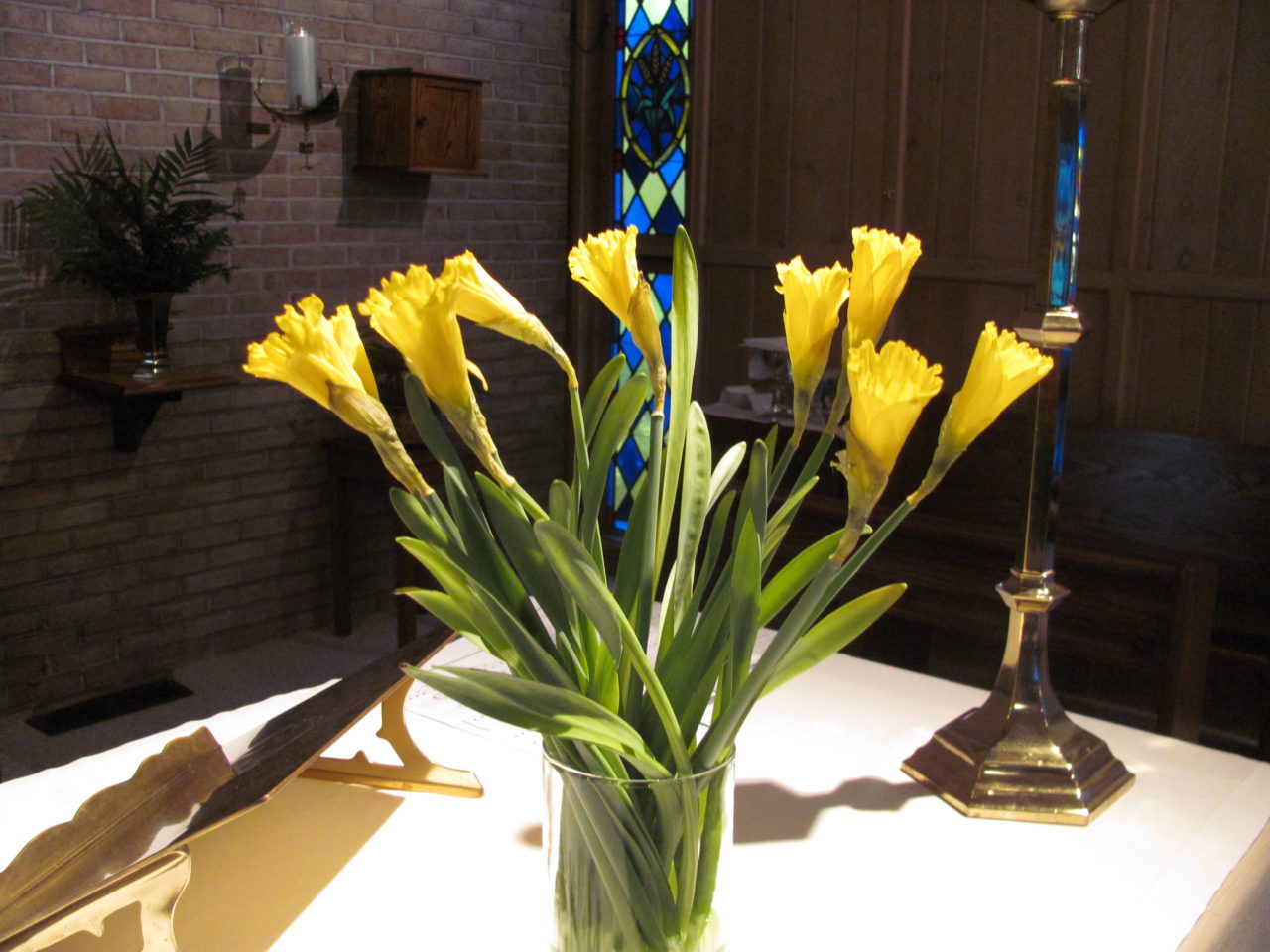 St. David’s Day celebrated