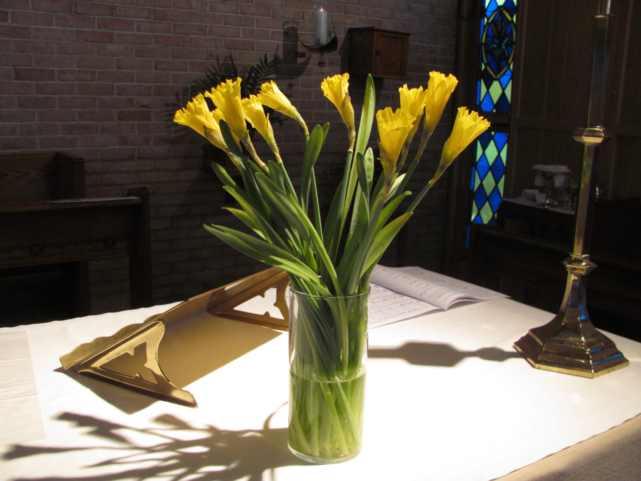 St. David’s Day celebrated
